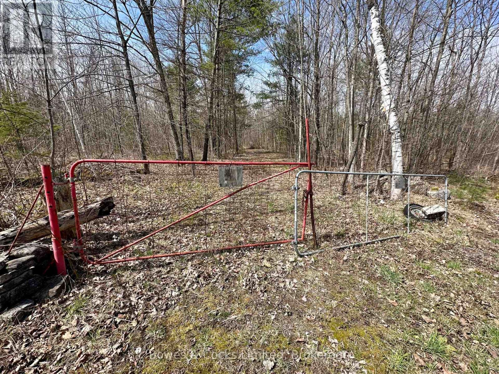 2981 County Road 44, Havelock-Belmont-Methuen, Ontario  K0L 1Z0 - Photo 8 - X12991522