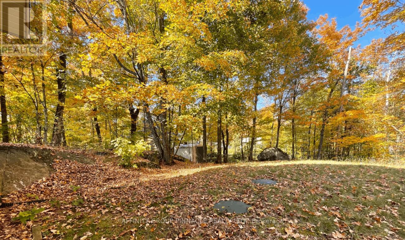 96 Pinewood Road, Mcdougall, Ontario  P2A 2W7 - Photo 30 - X12991604