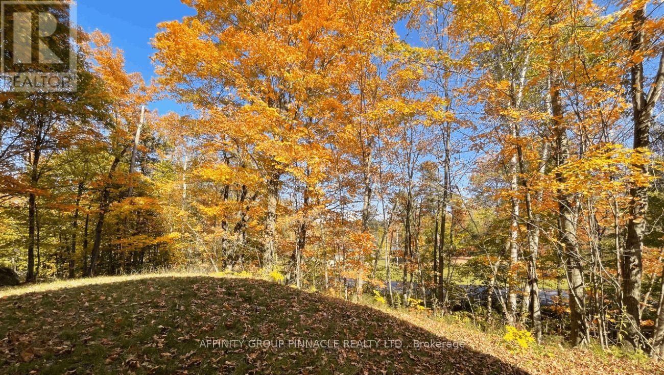 96 Pinewood Road, Mcdougall, Ontario  P2A 2W7 - Photo 31 - X12991604