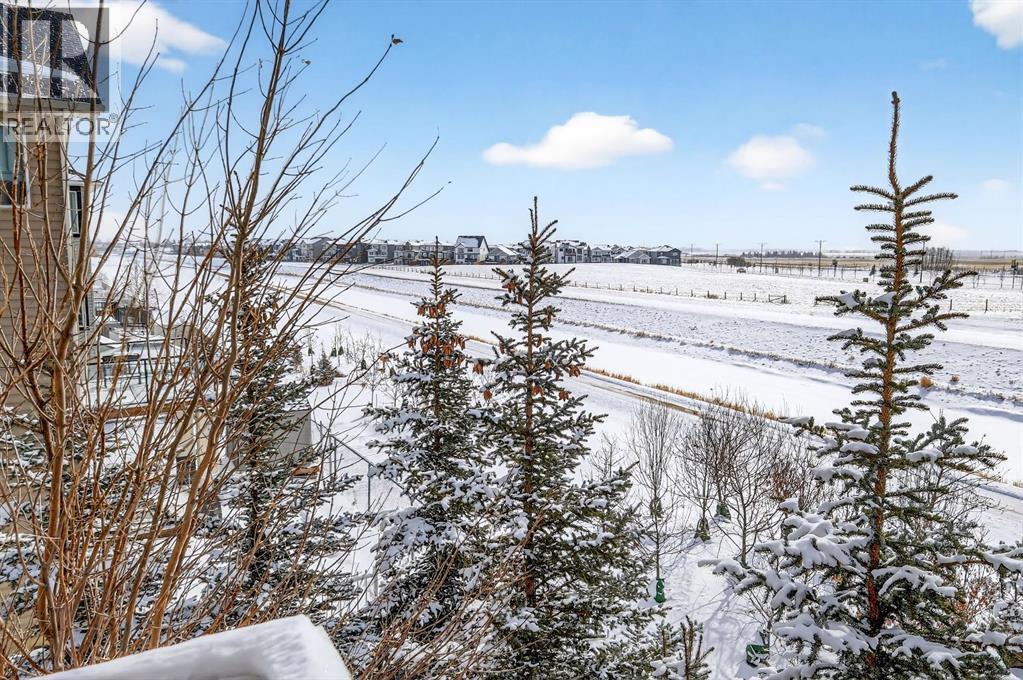 43, 111 Rainbow Falls Gate, Chestermere, Alberta  T1X 0Z5 - Photo 29 - A2297614