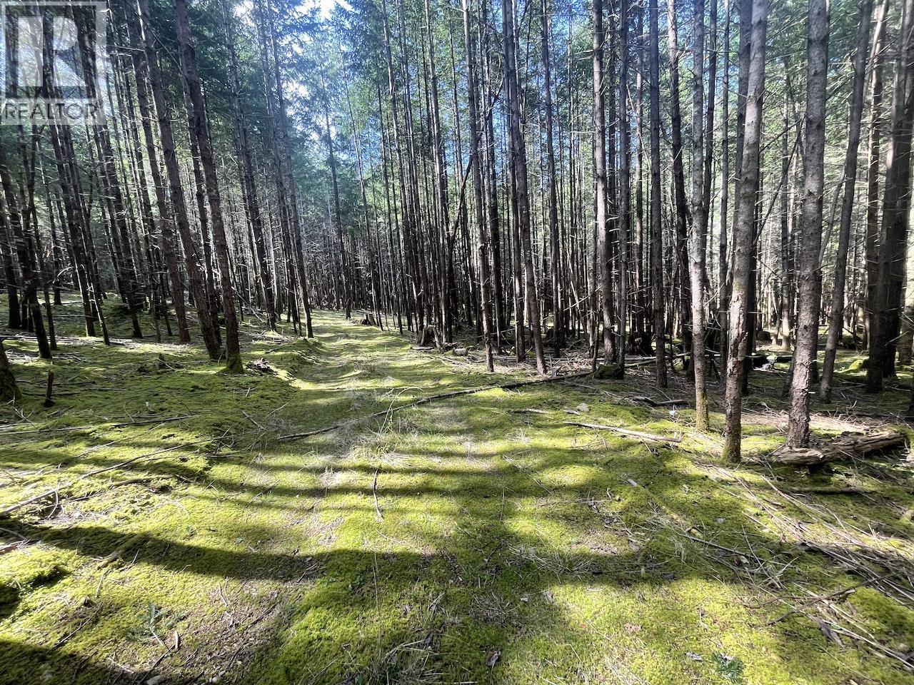 1840 Seymour Road, Gabriola Island, British Columbia  V0R 1X6 - Photo 1 - R3109971