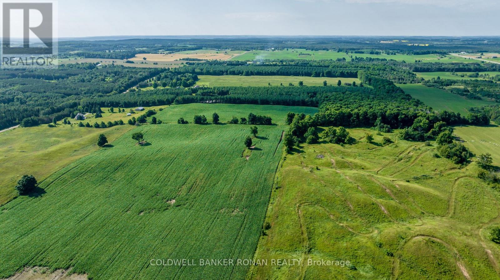 486356 30 Side Road, Mono, Ontario  L0N 1S5 - Photo 29 - X12991564
