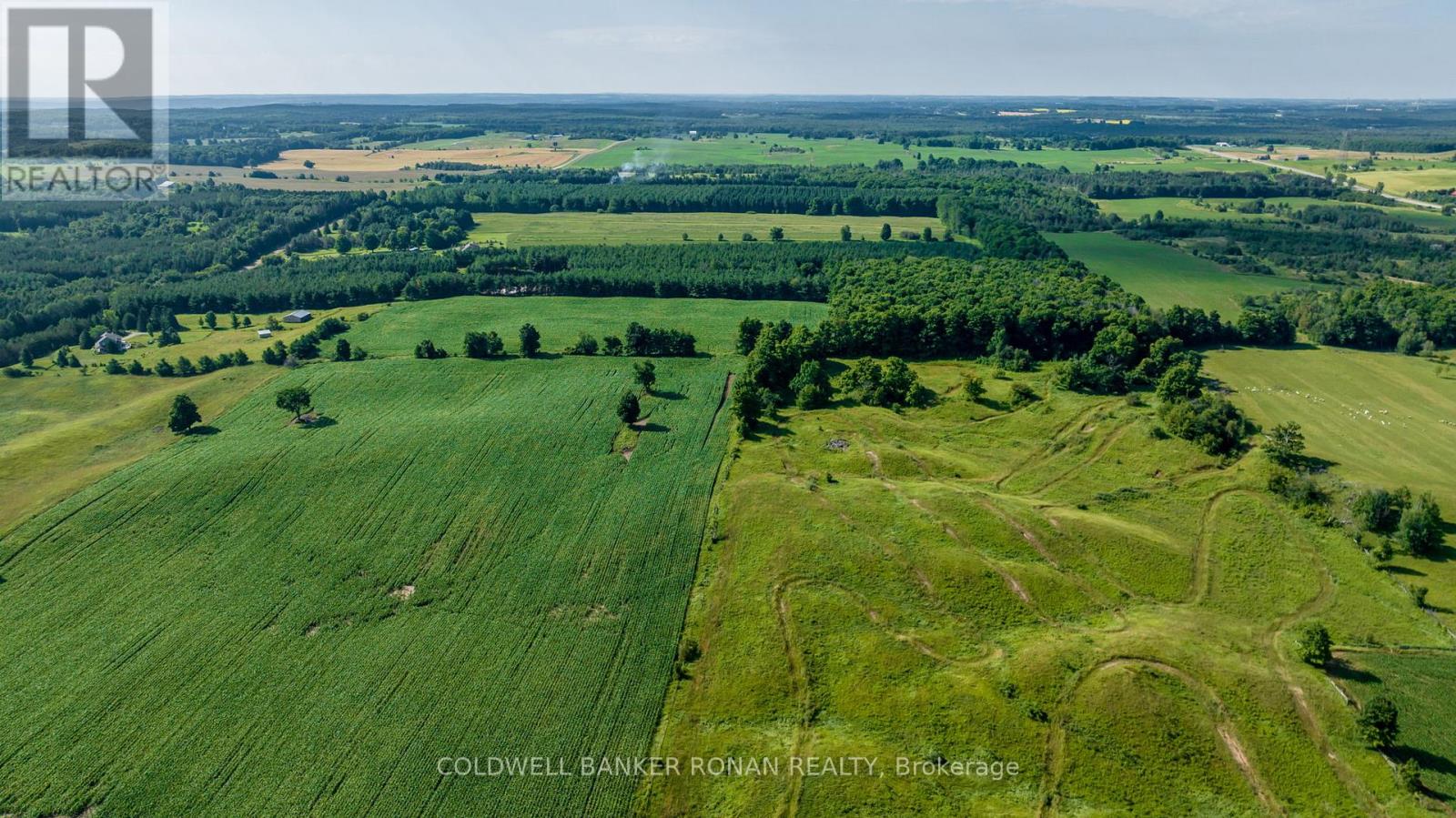 486356 30 Side Road Side Road, Mono, Ontario  L0N 1S5 - Photo 21 - X12991580