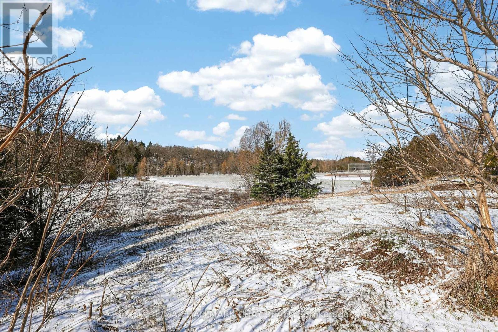 91 Hammill Heights, East Gwillimbury, Ontario  L0G 1M0 - Photo 33 - N12991874