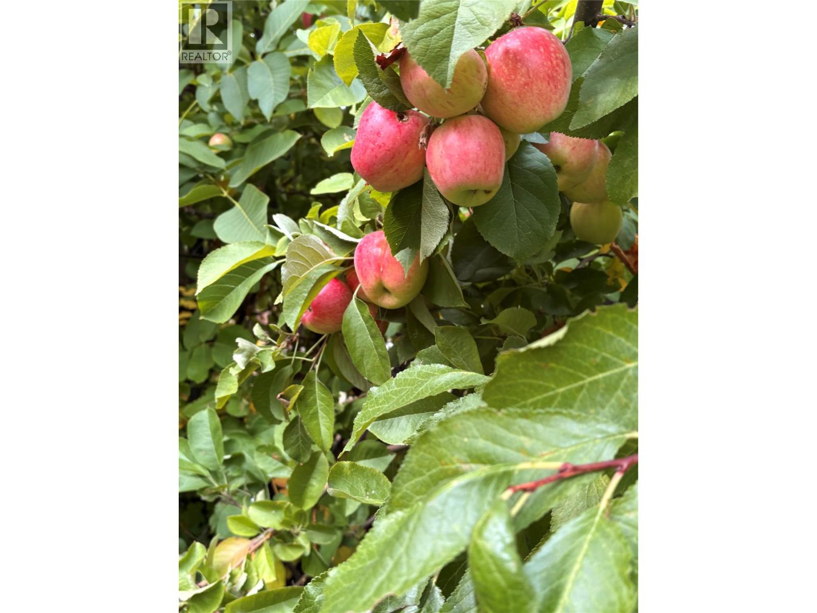 5192 Huston Road, Peachland, British Columbia  V0H 1X2 - Photo 50 - 10376743