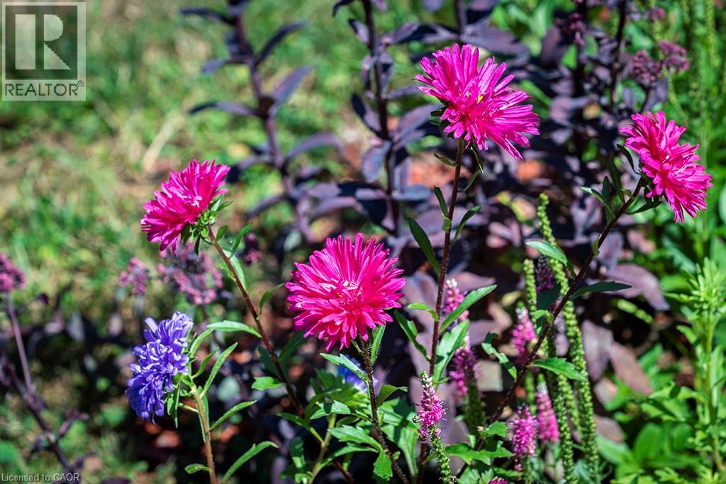 144 Canterbury Street, Ingersoll, Ontario  N5C 1C8 - Photo 37 - 40799080