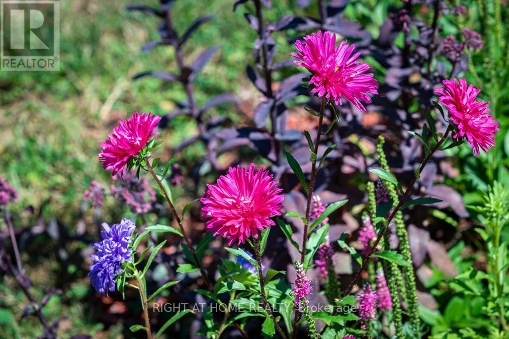 144 Canterbury Street, Ingersoll, Ontario  N5C 1C8 - Photo 35 - X12769098