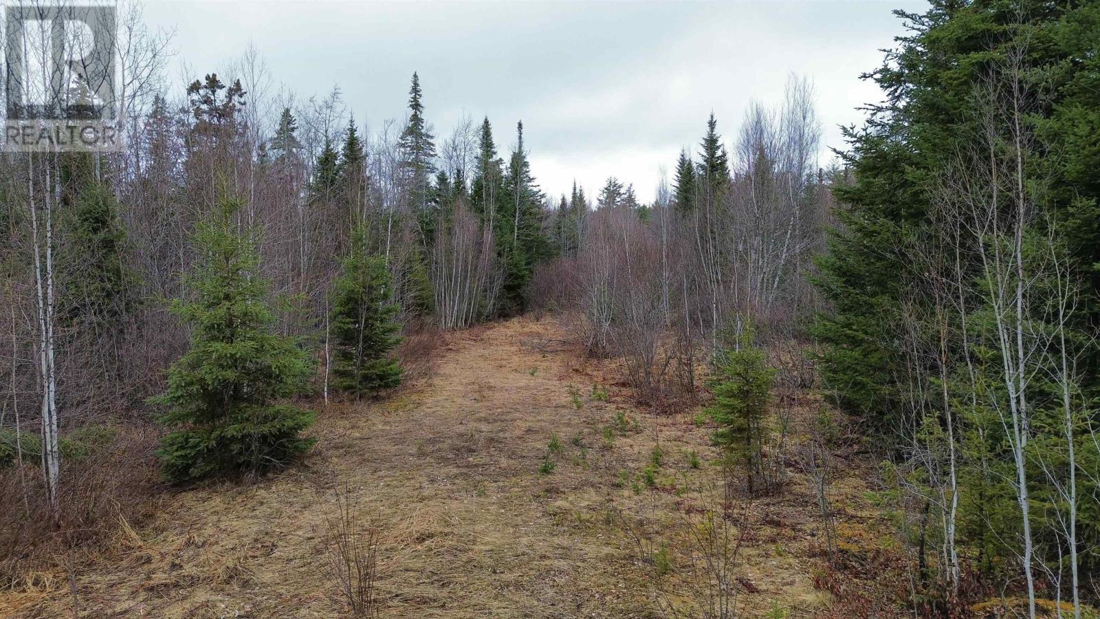 V/L 204 Highway, birchwood, Nova Scotia