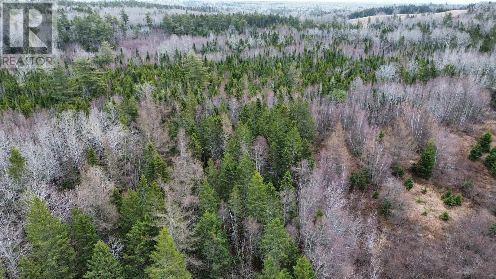 V/l 204 Highway, Birchwood, Nova Scotia  B0M 1P0 - Photo 5 - 202607231