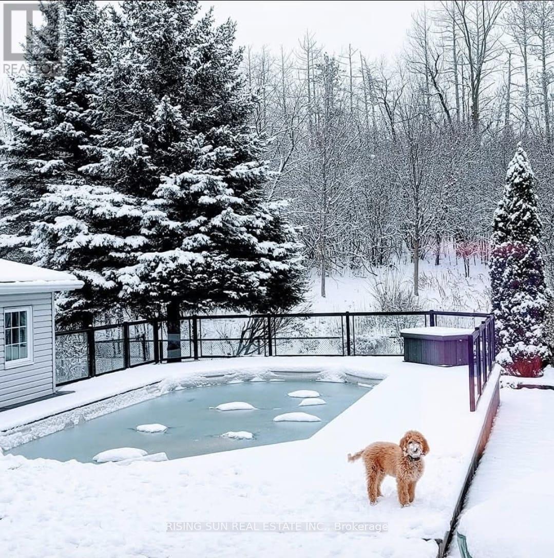 122 Barr Crescent, Brampton, Ontario  L6Z 3C8 - Photo 41 - W12812358