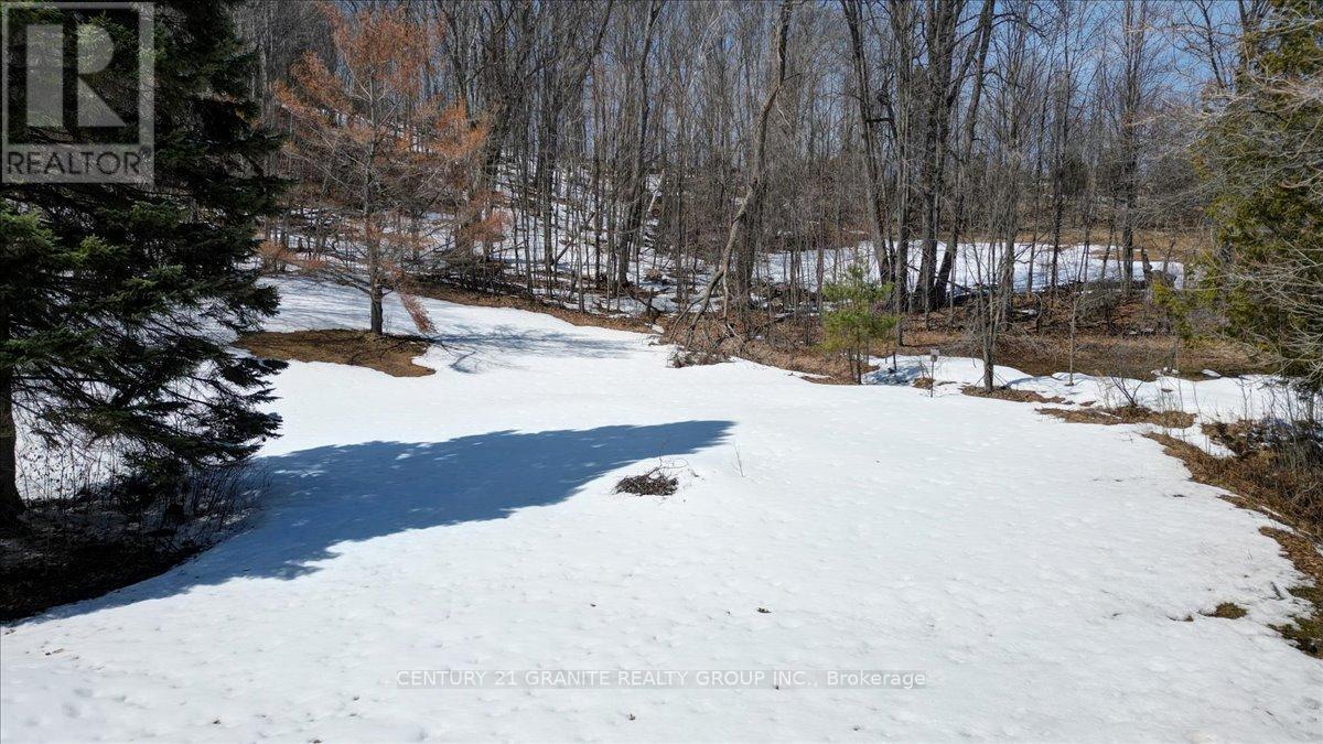 237 Maxwell Settlement Road, Bancroft, Ontario  K0L 1C0 - Photo 47 - X12992120