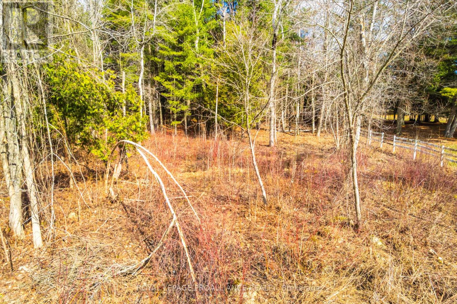 00 Whites Road, Brighton, Ontario  K0K 1H0 - Photo 23 - X12992198