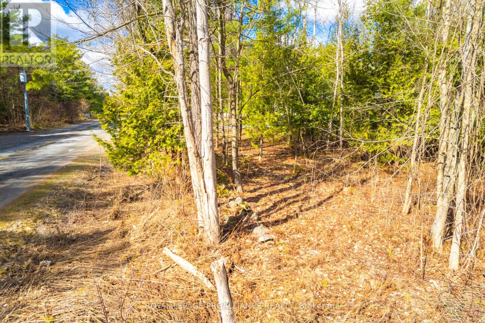 00 Whites Road, Brighton, Ontario  K0K 1H0 - Photo 24 - X12992198