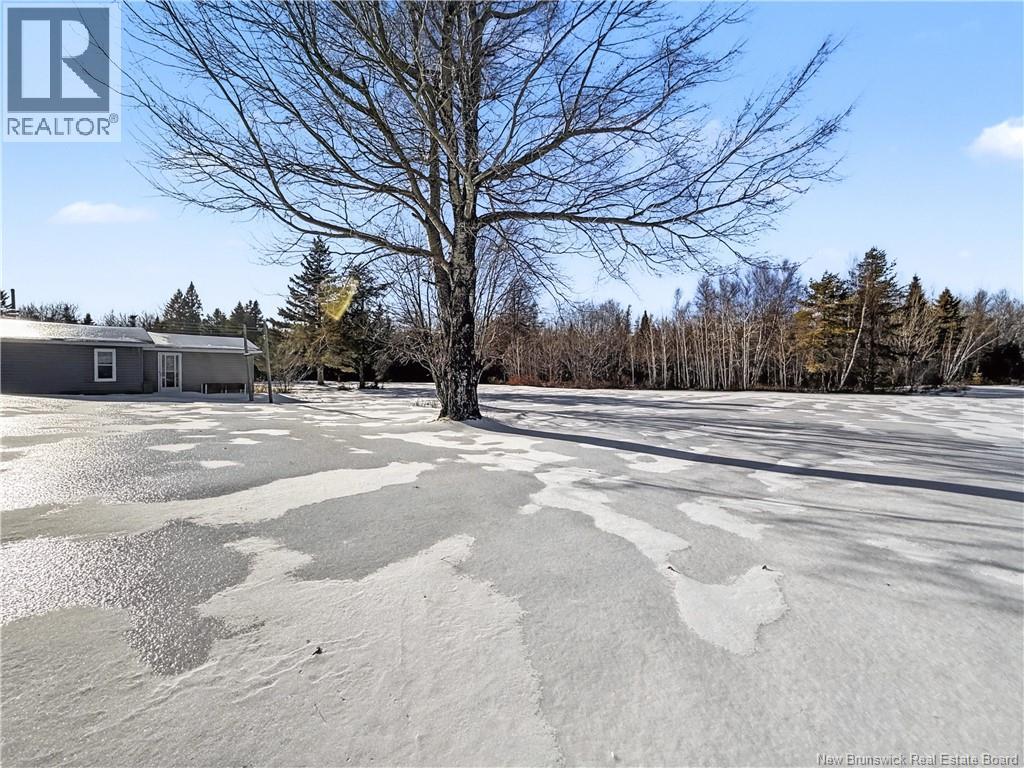 20 Renee, Acadie Siding, New Brunswick  E4Y 1R7 - Photo 39 - NB135252