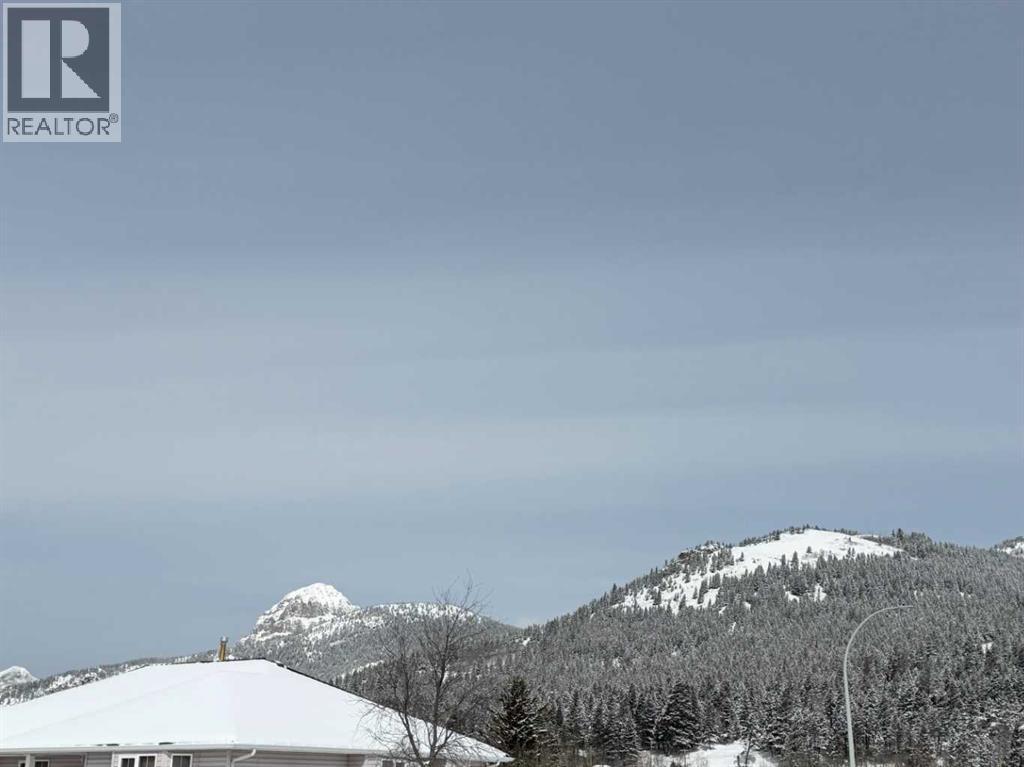 8142 26 Avenue, Coleman, Alberta  T0K 0M0 - Photo 4 - A2297689