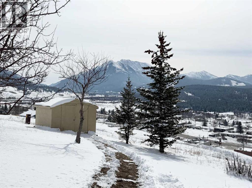 8142 26 Avenue, Coleman, Alberta  T0K 0M0 - Photo 35 - A2297689