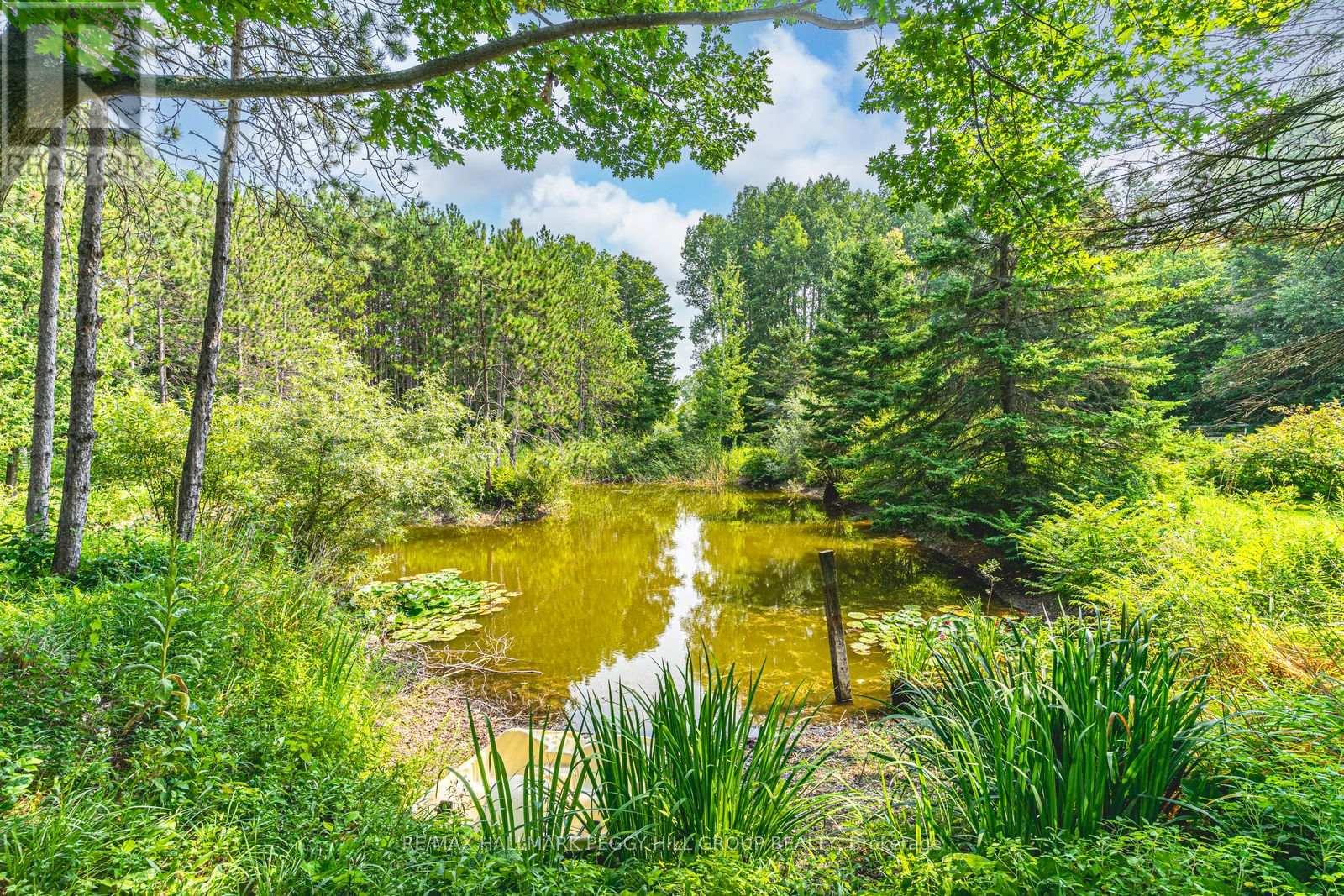 7819 5th Line, Essa, Ontario  L3W 0S7 - Photo 21 - N12992356