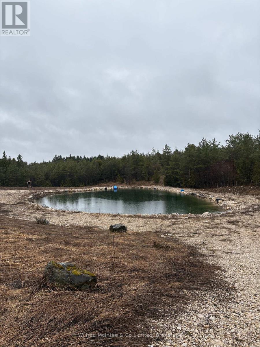 395549 Concession 2, Chatsworth, Ontario  N0H 1G0 - Photo 4 - X12911920