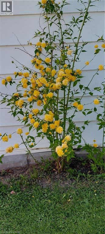 108 New Lakeshore Road, Port Dover, Ontario  N0A 1N8 - Photo 35 - 40819804