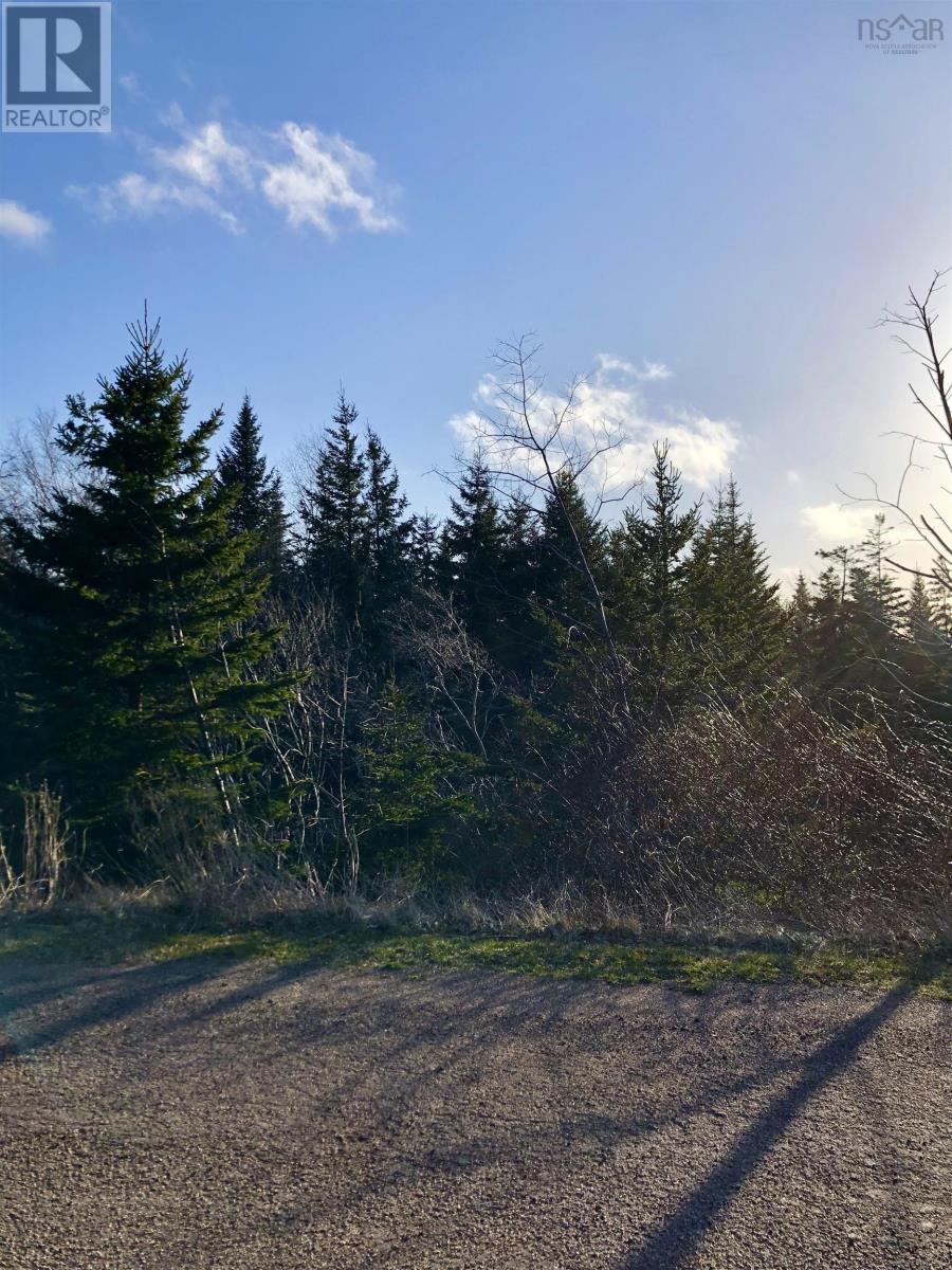 Lots 14 & 15 Highview & Clough Ave, Port Hastings, Nova Scotia  B9A 1K8 - Photo 4 - 202510076