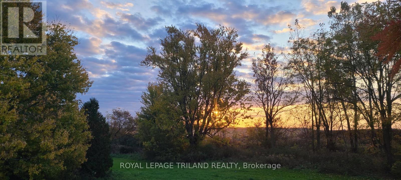 14 Wellington Avenue, Southwest Middlesex, Ontario  N0L 1A0 - Photo 46 - X12975352