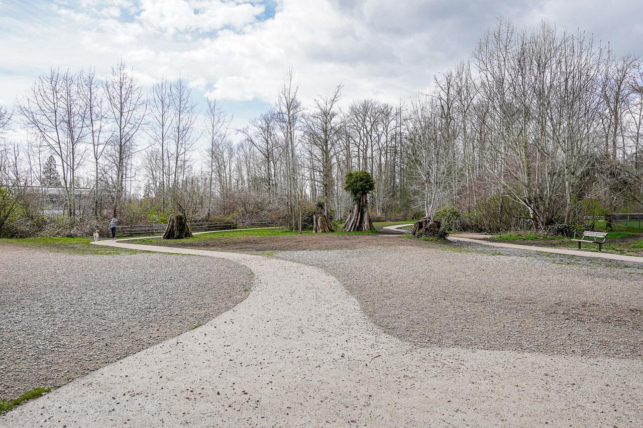 7 6895 188 Street, Surrey, British Columbia  V4N 6M3 - Photo 36 - R3085242