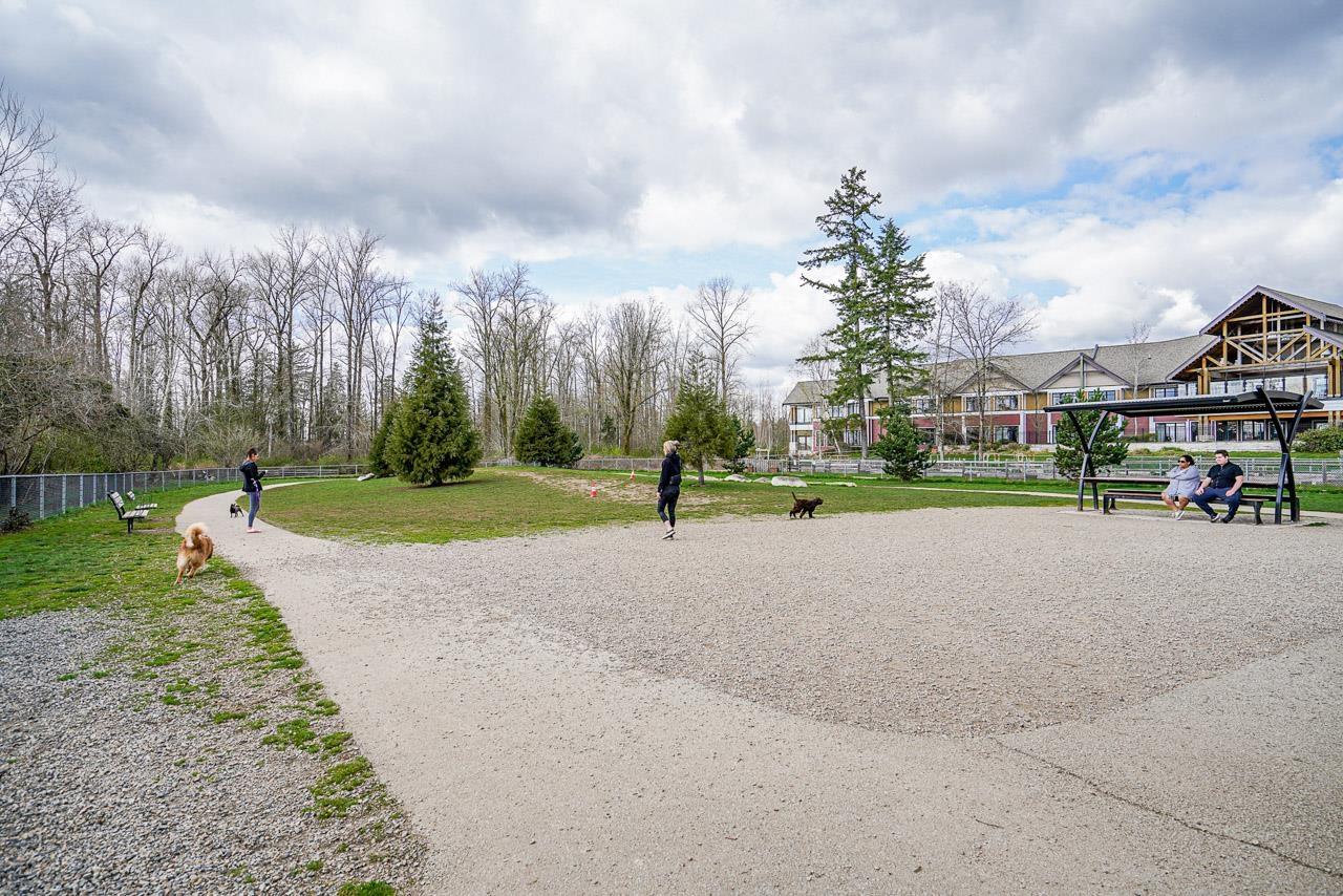 7 6895 188 Street, Surrey, British Columbia  V4N 6M3 - Photo 37 - R3085242