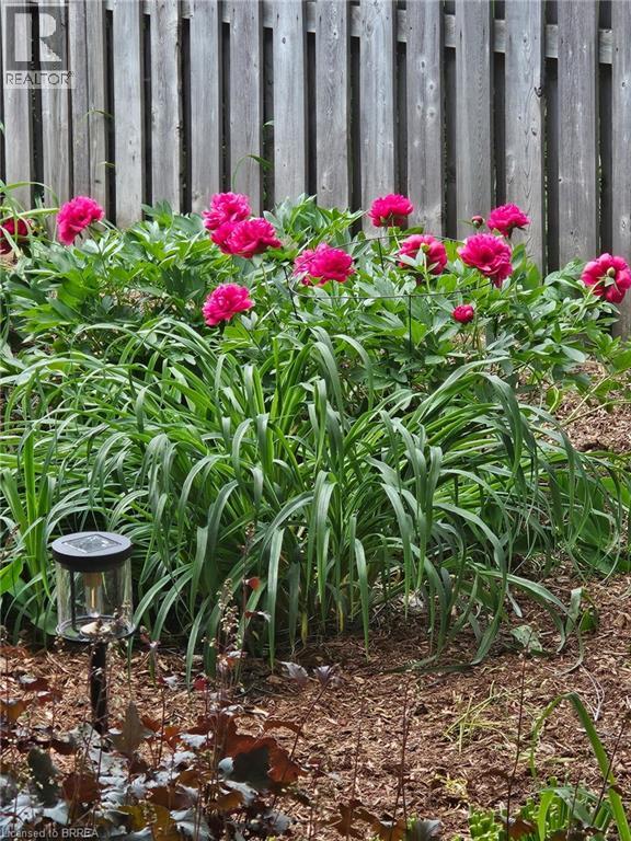 108 William Street, Brantford, Ontario  N3T 3L1 - Photo 37 - 40816135