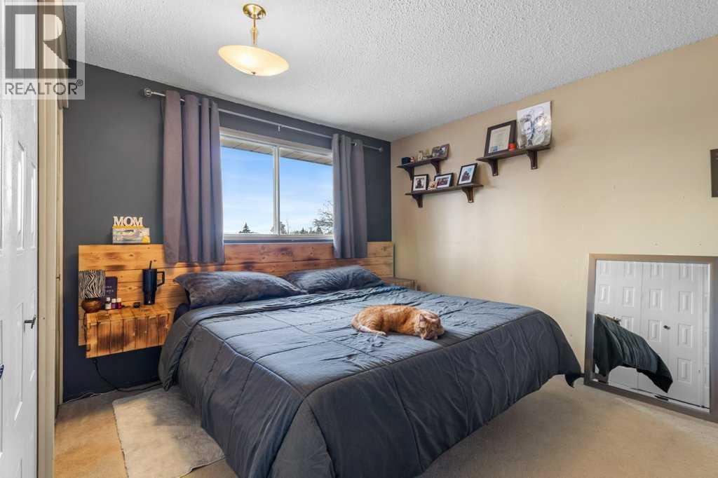 10 Chappel Drive, Red Deer, Alberta  T4P 2R8 - Photo 12 - A2301137