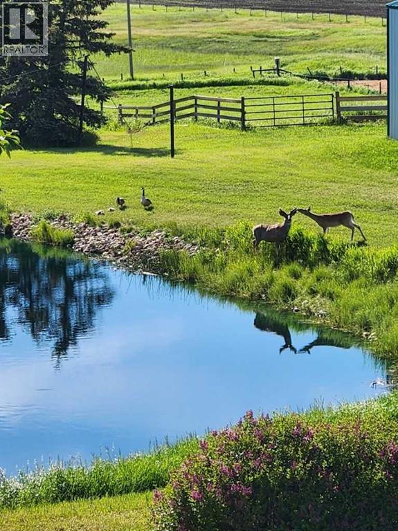 270168 Range Road 283, Rural Rocky View County, Alberta  T4A 2S9 - Photo 42 - A2271293