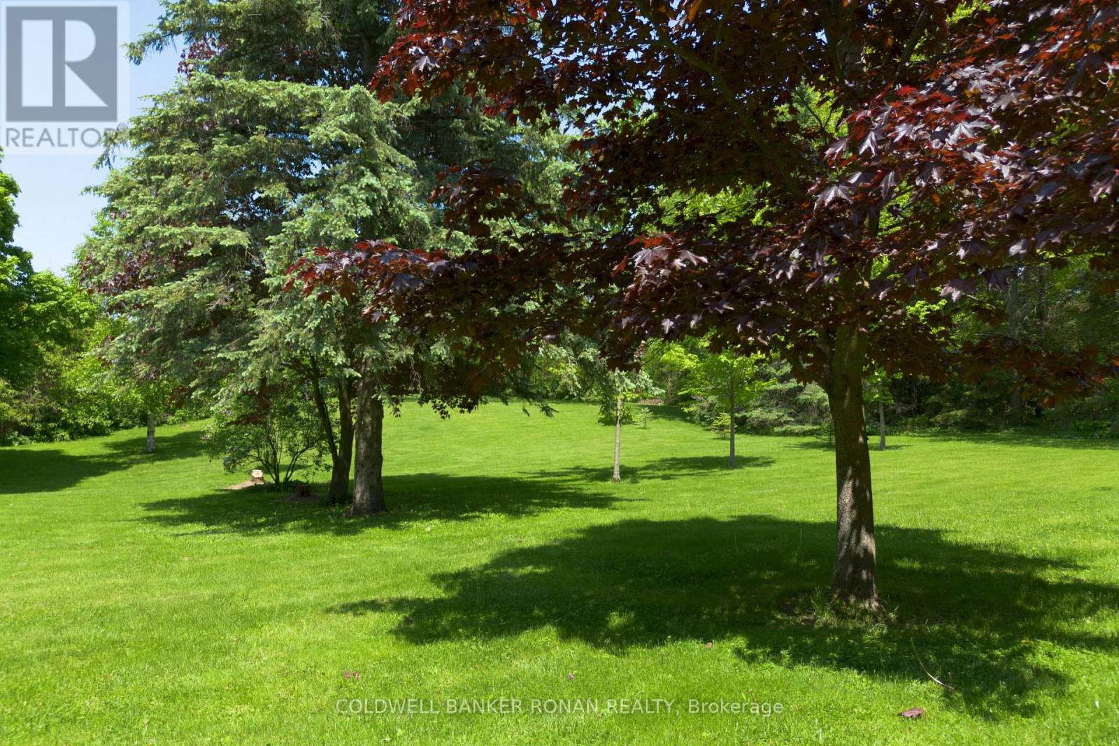 953026 7th Line, Mono, Ontario  L9W 6E6 - Photo 45 - X12992650