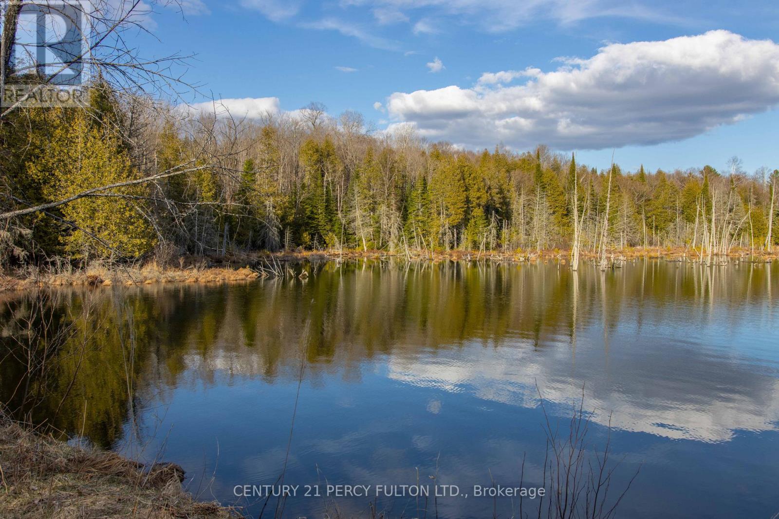 L 24&25 - 0 Lost Nation Road, Brudenell, Ontario  K0J 2E0 - Photo 47 - X12988140