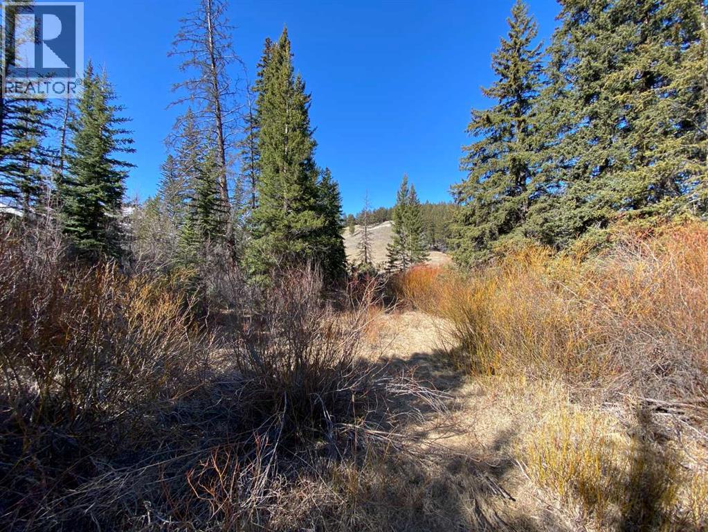 5302 19 Avenue, Coleman, Alberta  T0K 0E0 - Photo 5 - A2300949