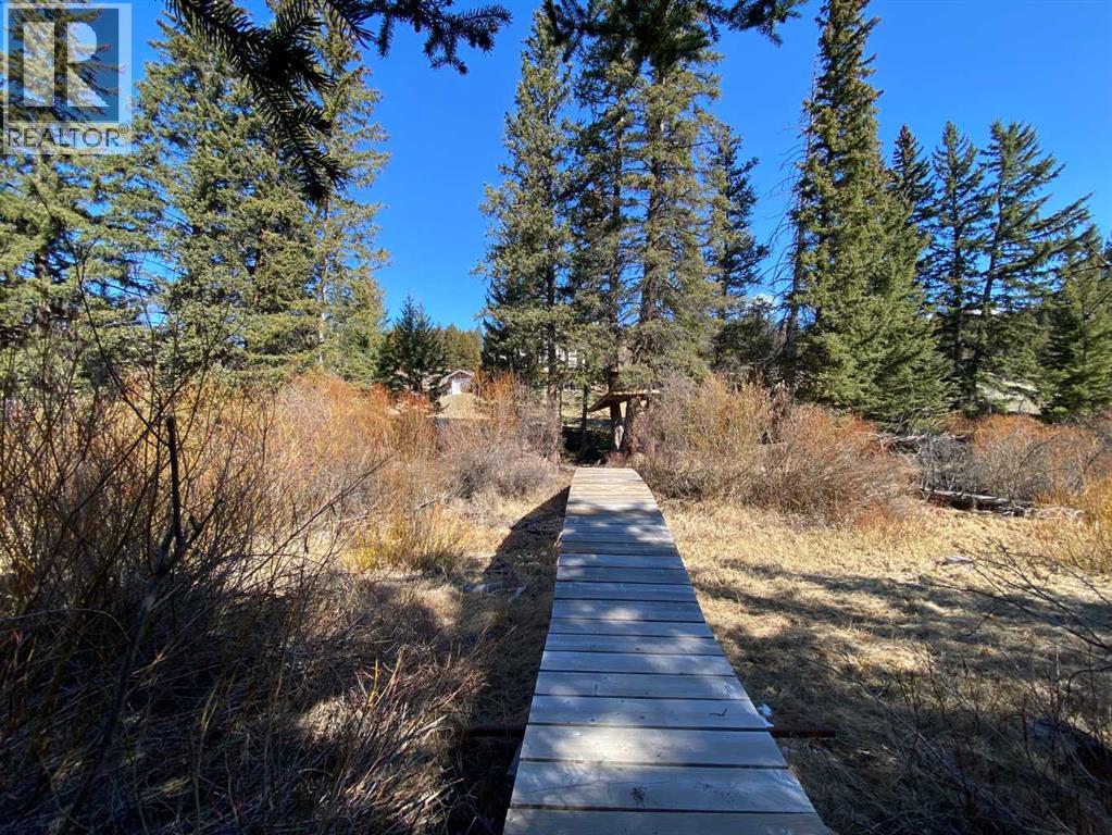 5302 19 Avenue, Coleman, Alberta  T0K 0E0 - Photo 6 - A2300949