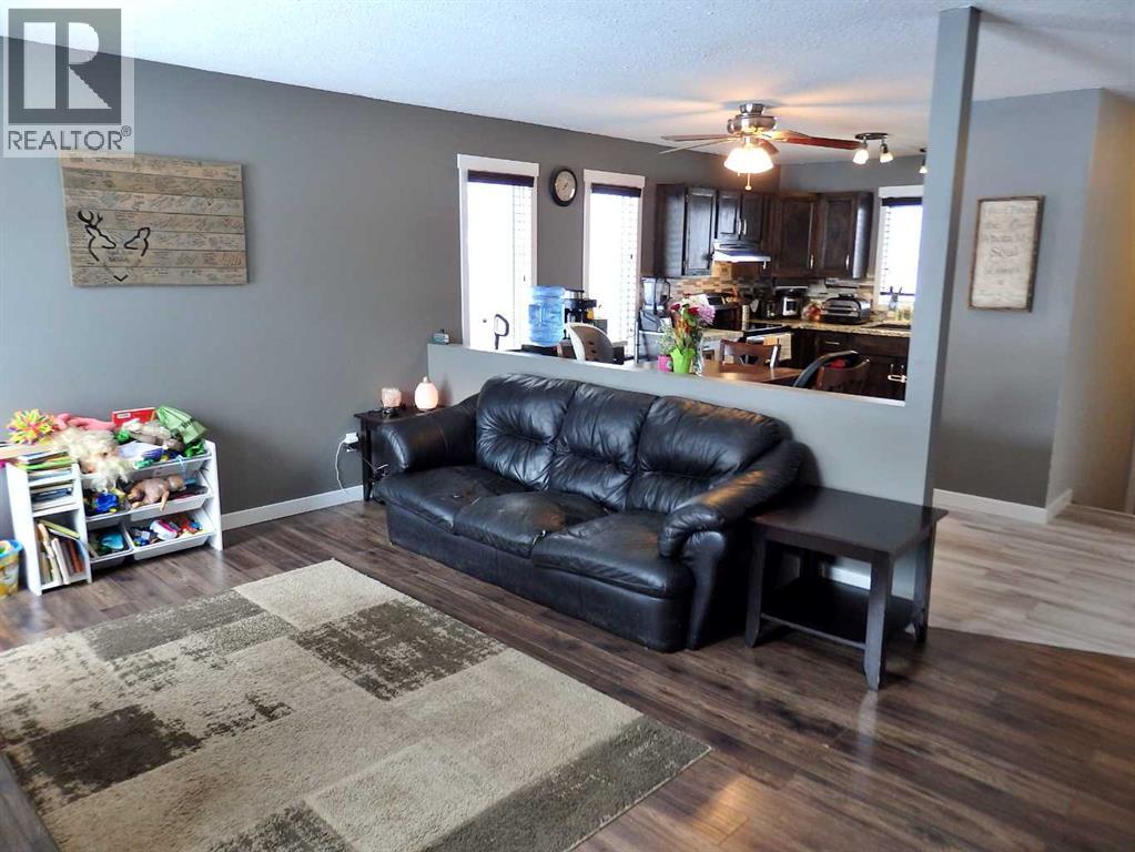 4702 50 Avenue, Dewberry, Alberta  T0B 1G0 - Photo 5 - A2203011