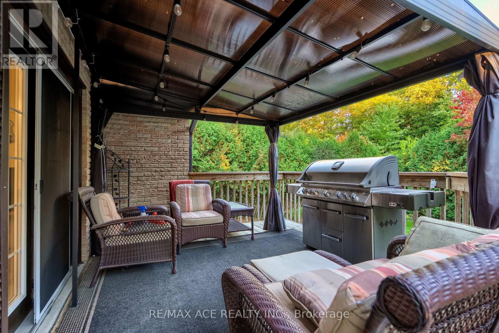 17 Black Willow Court, Richmond Hill, Ontario  L4E 2M7 - Photo 48 - N12993092