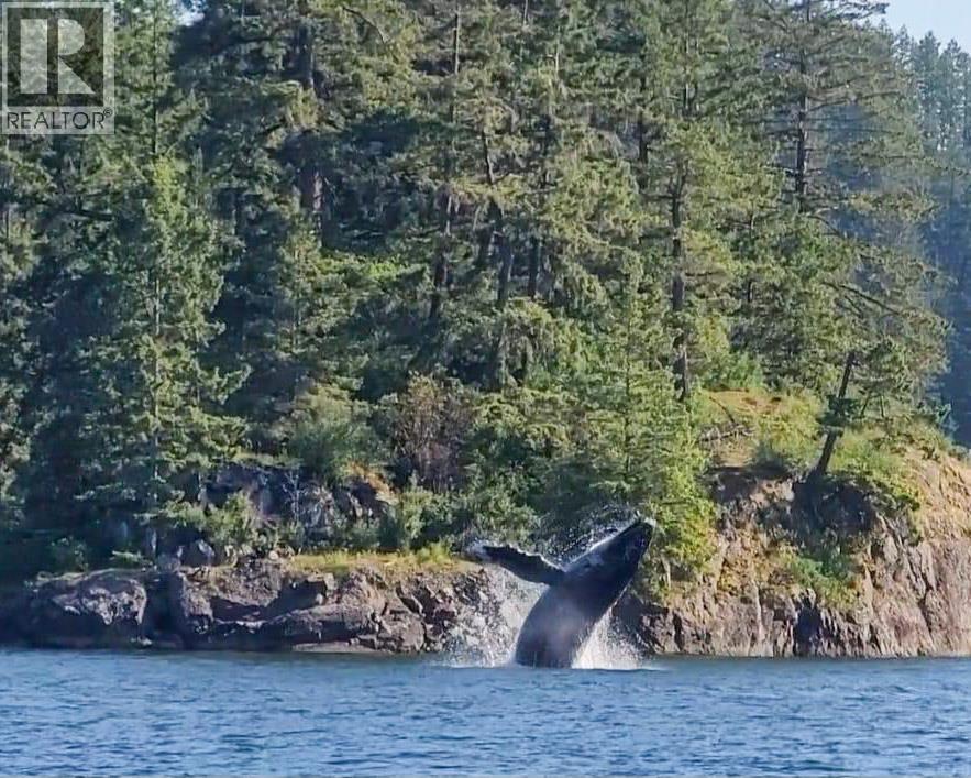 304 Esplanade Road, Keats Island, British Columbia  V0N 1V0 - Photo 39 - R3101543