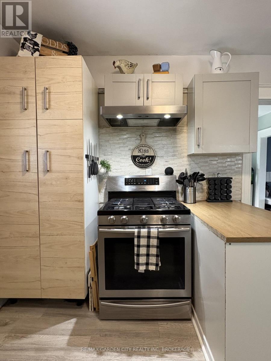 22 Chaplin Avenue, St. Catharines, Ontario  L2R 2E6 - Photo 9 - X12879444