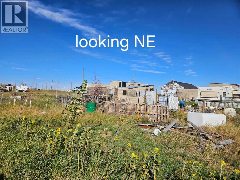 117 1 Street S, Queenstown, Alberta  T0L 1L0 - Photo 4 - A2262030