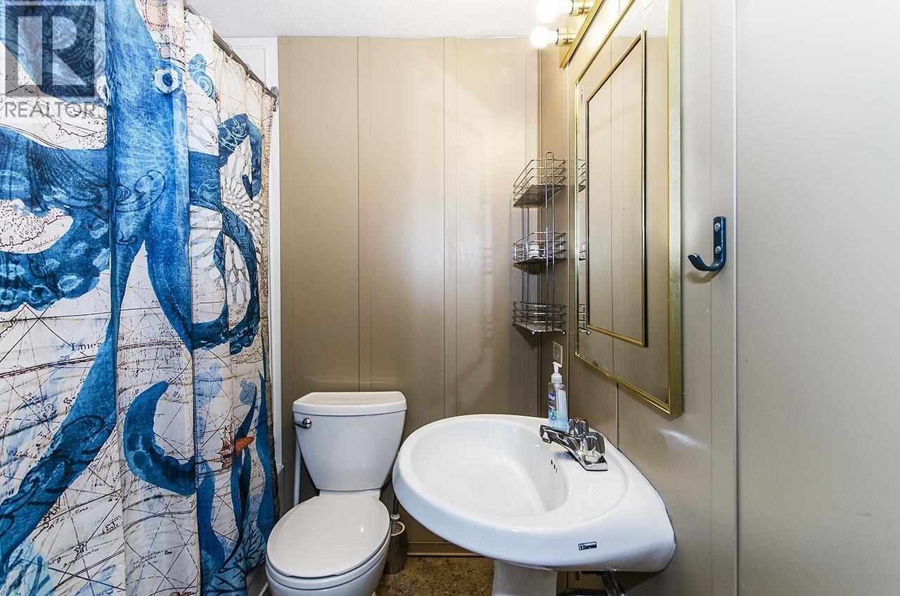 649 Pender Place, Port Coquitlam, British Columbia  V3B 7M2 - Photo 30 - R3110410