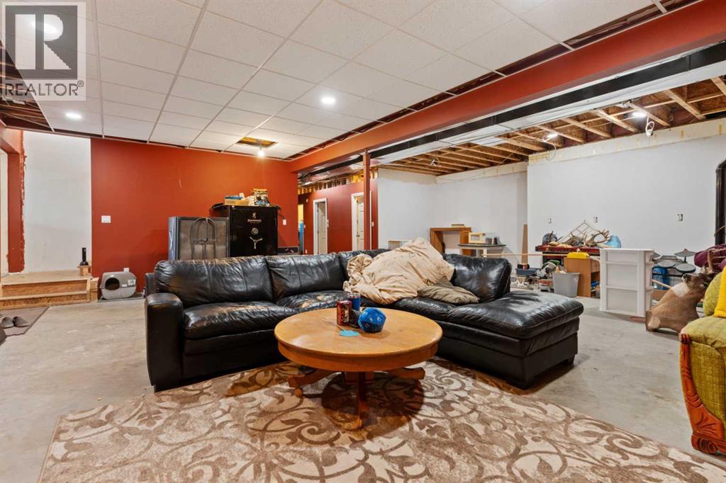 43440 Range Road 113, Rural Flagstaff County, Alberta  T0B 2V0 - Photo 29 - A2285556