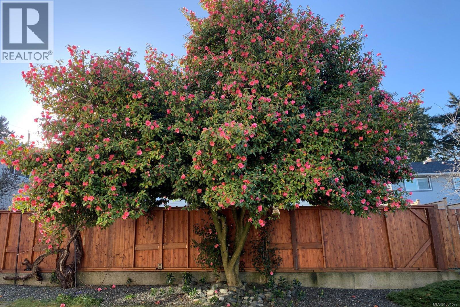 1331 Eplett Pl, Nanaimo, British Columbia  V9S 4B2 - Photo 82 - 1031577