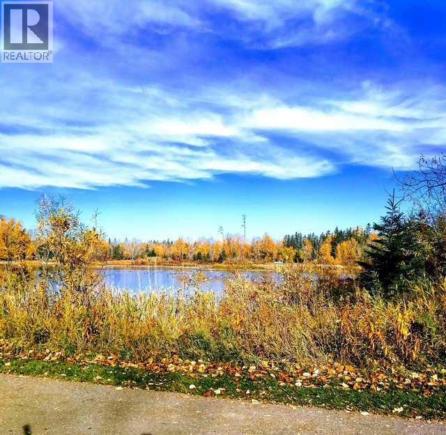 302, 41 Bennett Street, Red Deer, Alberta  T4R 1V4 - Photo 26 - A2287836