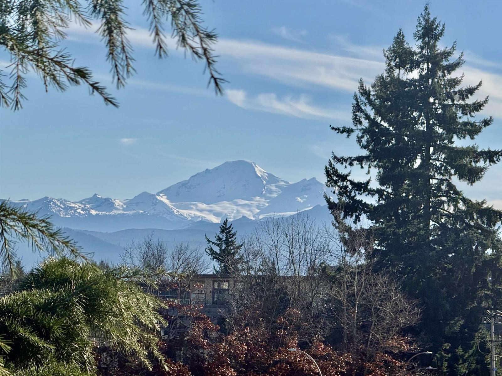 412 32729 Garibaldi Drive, Abbotsford, British Columbia  V2T 0A6 - Photo 4 - R3083815