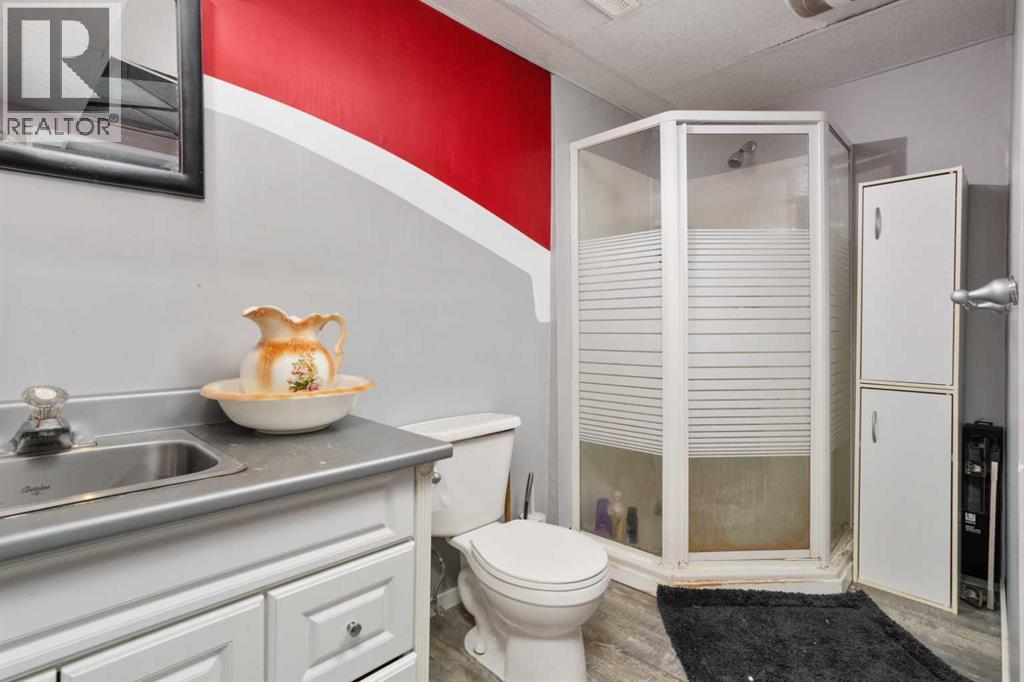 19252 462 Township, Rural Camrose County, Alberta  T4V 1X8 - Photo 25 - A2287222