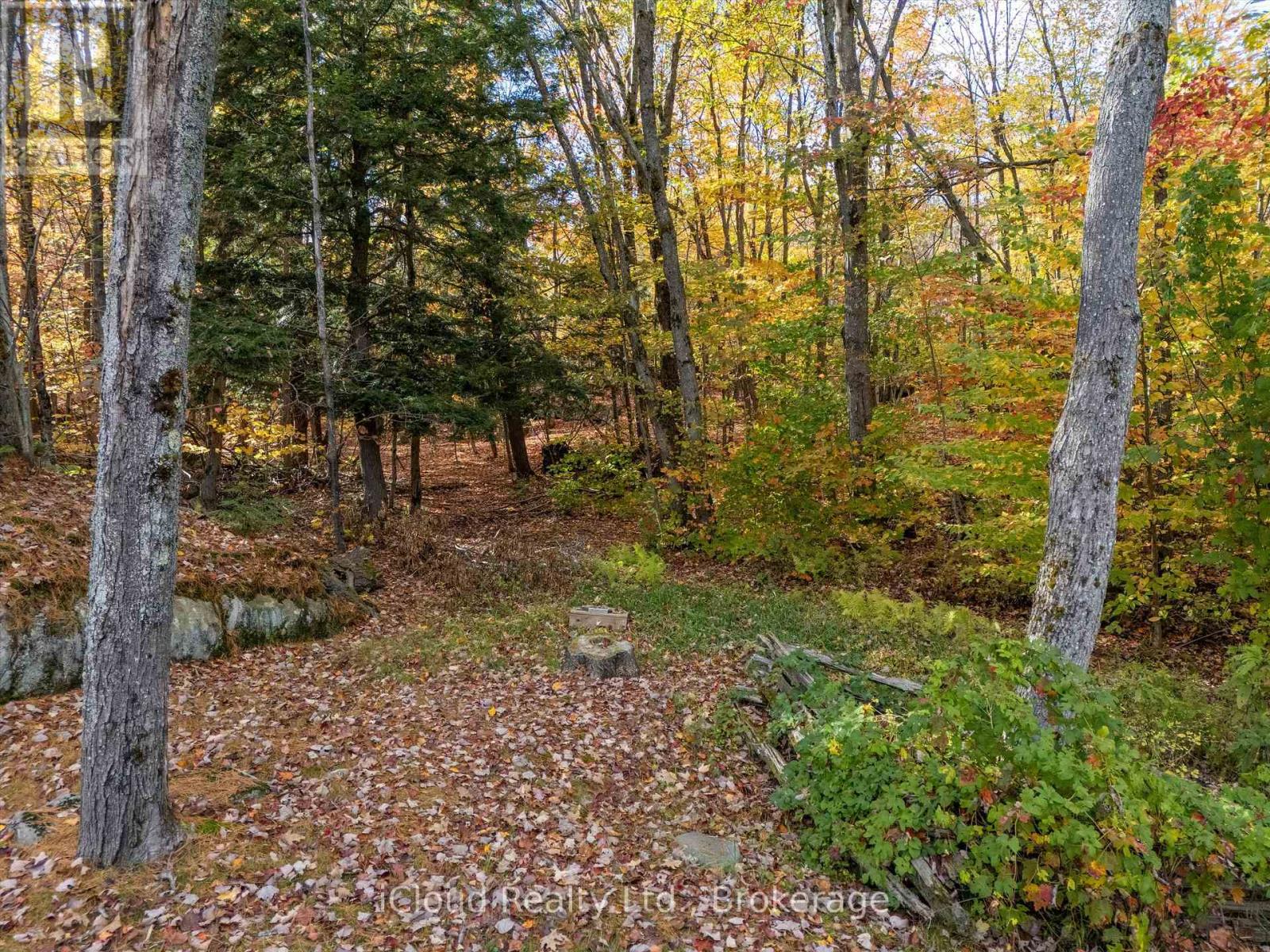 6 Springhill Road, Mckellar, Ontario  P0G 1C0 - Photo 30 - X12993434