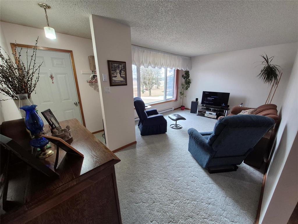 6032 Pr 203 Highway, Piney, Manitoba R0A 1K0 - Photo 22 - 202606995