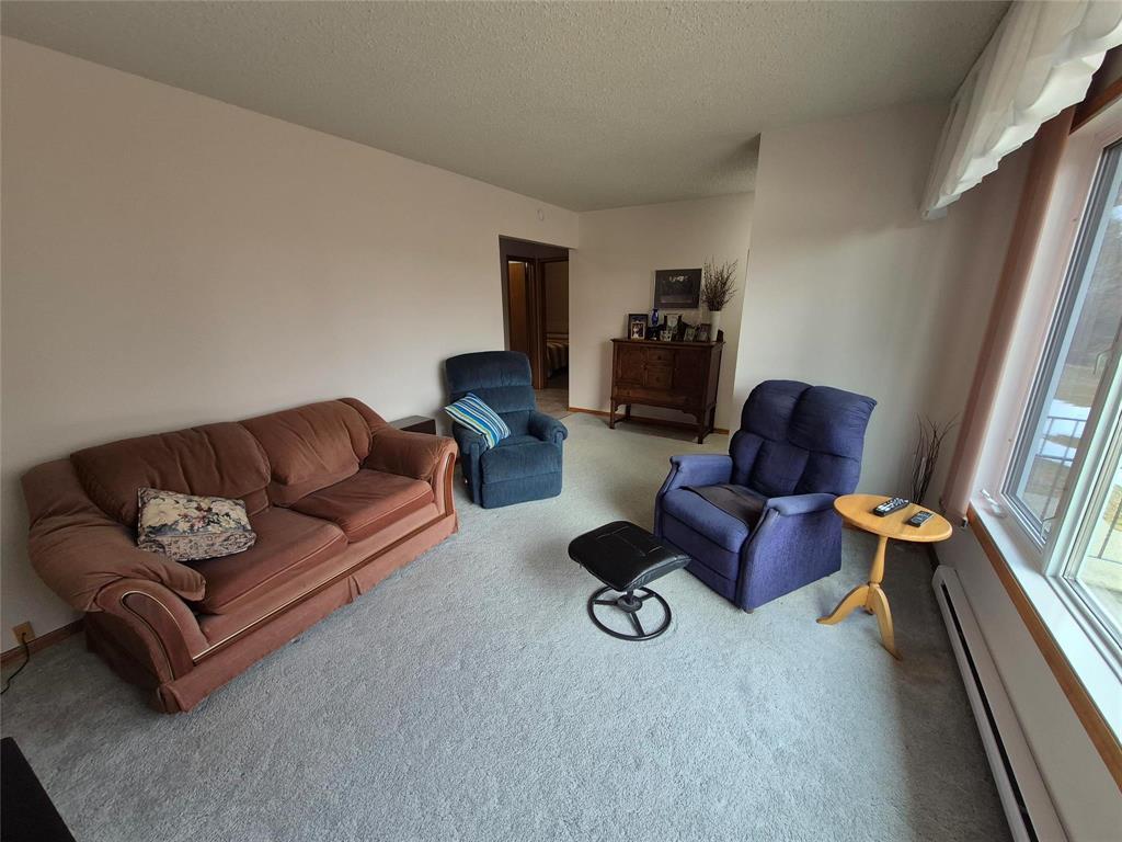 6032 Pr 203 Highway, Piney, Manitoba R0A 1K0 - Photo 24 - 202606995