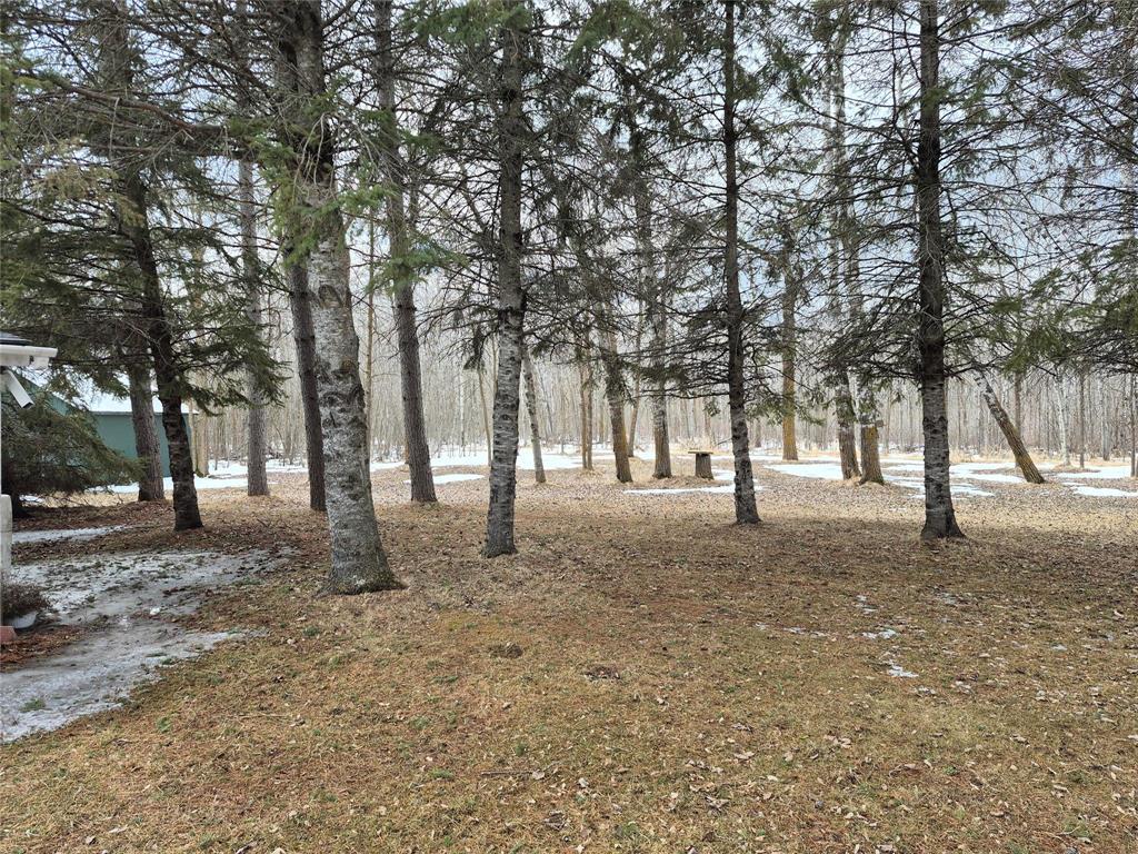 6032 Pr 203 Highway, Piney, Manitoba R0A 1K0 - Photo 42 - 202606995