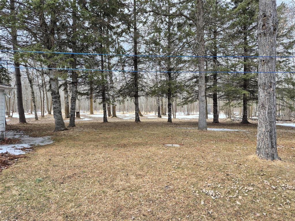 6032 Pr 203 Highway, Piney, Manitoba R0A 1K0 - Photo 41 - 202606995